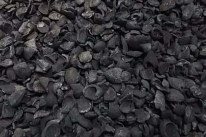 Cangkang Kelapa Sawit